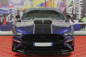 FORD - Mustang V8 Shelby